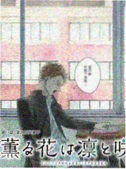 花生影院作品库：夜航电台综艺抽屉卡面